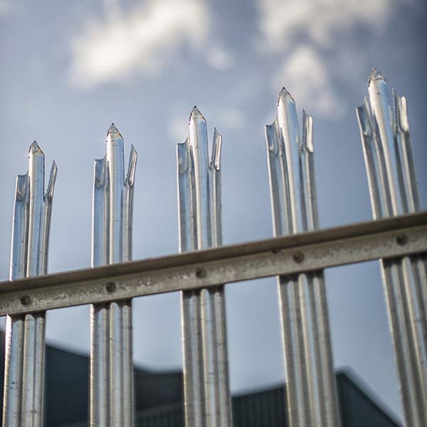 Photo of top of palisade fencing